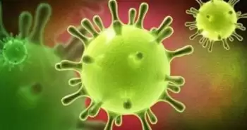 منظمة الصحة العالمية تكشف : رقم صادم إصابة جديدة بفيروس كورونا في 10 أيام فقط