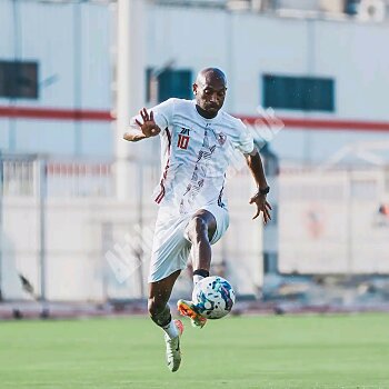 اخبار الزمالك - بالصور ..جوميز يقود تدريب الزمالك اليوم وغياب السداسي الدولي وتصعيد عبد الفتاح..والإتفاق على ثلاث وديات 